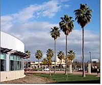 Mission Palms