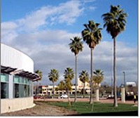 Mission Palms